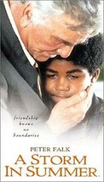 Watch A Storm in Summer Movies123