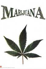 Watch Nederwiet De Moevie Movies123