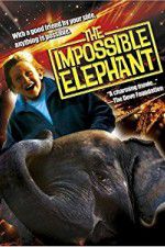 Watch The Incredible Elephant Movies123