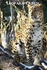 Watch National Geographic Leopard Queen Movies123