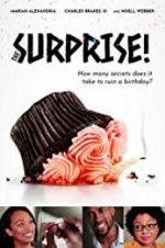 Watch The Surprise! Movies123