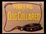 Watch Dog Collared (Short 1950) Movies123