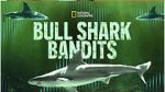 Watch Bull Shark Bandits Movies123