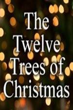 Watch The Twelve Trees of Christmas Movies123