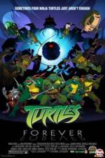 Watch Teenage Mutant Ninja Turtles Turtles Forever Movies123