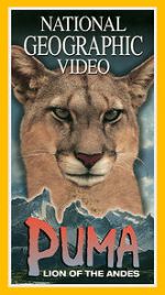 Watch Puma: Lion of the Andes Movies123