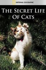 Watch The Secret Life of Cats Movies123