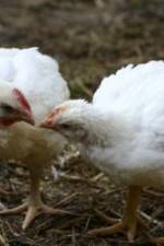 Watch Meet Your Meat Movies123