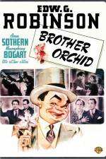 Watch Brother Orchid Movies123