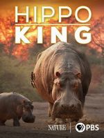 Watch Hippo King Movies123