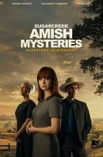 Watch Sugarcreek Amish Mysteries: Blessings in Disguise Movies123
