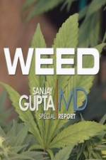 Watch CNN Weed Sanjay Gupta Report Movies123