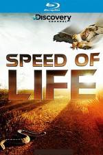 Watch Speed of Life Movies123