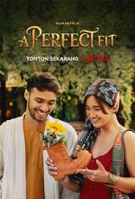 Watch A Perfect Fit Movies123