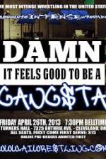Watch AIW Damn It Feels Good To Be A Gangsta Movies123