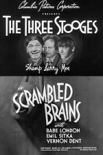 Watch Scrambled Brains Movies123