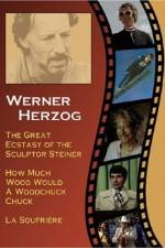 Watch Die gro�e Ekstase des Bildschnitzers Steiner Movies123