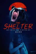 Watch The Shelter Movies123