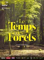 Watch The Time of Forests Movies123