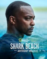 Watch Shark Beach with Anthony Mackie Movies123