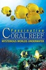Watch Fascination Coral Reef: Mysterious Worlds Underwater Movies123