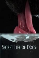 Watch Secret Life of Dog Movies123
