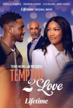 Watch Terry McMillan Presents: Tempted 2 Love Movies123