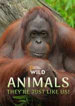 Watch Animals, They\'re Just Like Us! Movies123