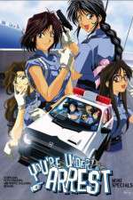 Watch You're Under Arrest Movies123