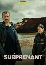 Watch Détective Surprenant : la fille aux yeux de pierre Movies123