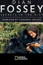 Watch Dian Fossey: Secrets in the Mist Movies123