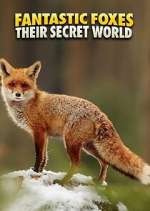 Watch Fantastic Foxes: Their Secret World Movies123