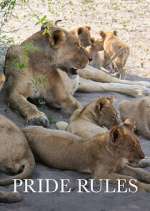 Watch Pride Rules Movies123