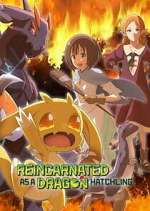 Watch Reincarnated as a Dragon Hatchling Movies123