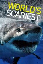 Watch World's Scariest... Movies123