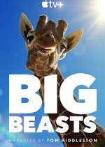 Watch Big Beasts Movies123