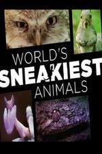 Watch World's Sneakiest Animals Movies123