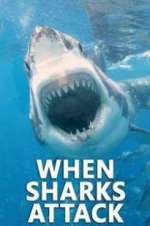 Watch When Sharks Attack Movies123