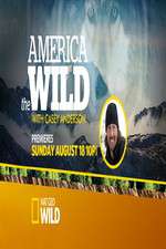 Watch America the Wild Movies123
