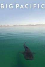 Watch Big Pacific Movies123