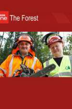 Watch The Forest Movies123