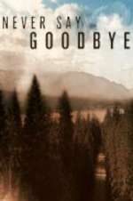 Watch Never Say Goodbye Movies123