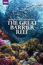 Watch Great Barrier Reef with David Attenborough Movies123