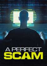 Watch A Perfect Scam Movies123