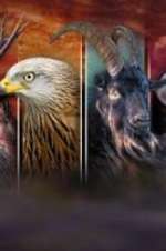 Watch Wales: Land of the Wild Movies123