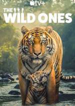 Watch The Wild Ones Movies123