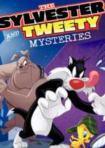 Watch The Sylvester & Tweety Mysteries Movies123
