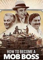 Watch How to Become a Mob Boss Movies123
