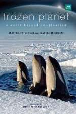 Watch Frozen Planet Movies123