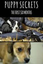 Watch Puppy Secrets: The First Six Months Movies123